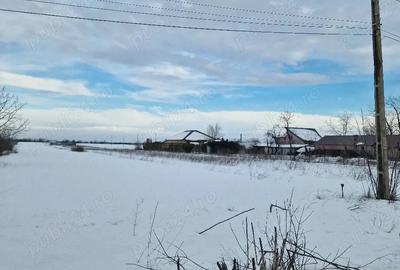 Teren de 590 mp, în Lucianca