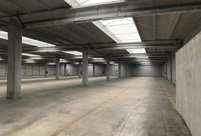 Spațiu comercial, de 1,720 mp, în Glina - 19