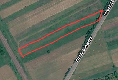 Teren de 3120 mp, în Central