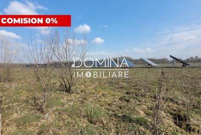 Teren Construcții intravilan de 978 mp, în Drăguțești - 1