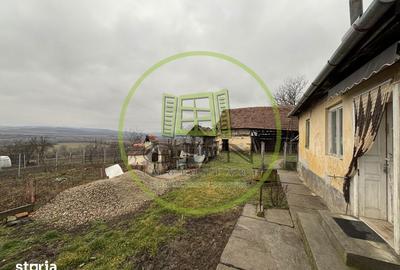 Casă cu 3 camere cu Teren 2500 Mp în Cetatea de Baltă - 6