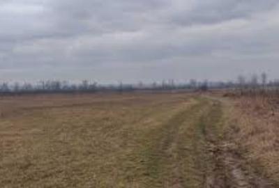 Teren extravilan de 25000 mp, în Sălcuța