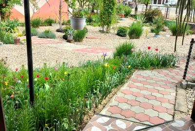 Casă cu Teren 6400 Mp în Băbășești - 2