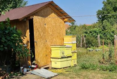 Casă cu 2 camere cu Teren 334 Mp în Vinerea - 7