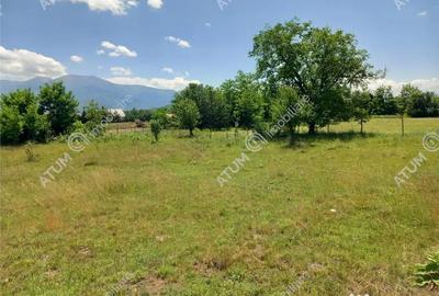 Teren de 5000 mp, în Avrig - 2