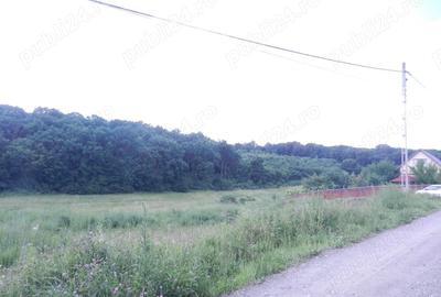 Teren de 2500 mp, în Sâncraiu de Mureș