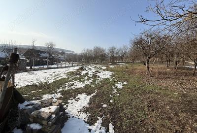 Casă cu 3 camere în Coșeiu - 4