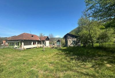 Casă cu 4 camere în Zdrapți - 1