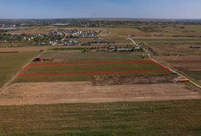 Teren Construcții intravilan de 6525 mp, în Adunații-Copăceni - 8
