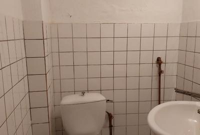 Casă individuală cu 4 camere cu Garaj în Anina - 9
