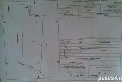 Teren de 25000 mp, în Tâncăbești - 4