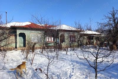 Casă cu Teren 1500 Mp în Hodivoaia - 5