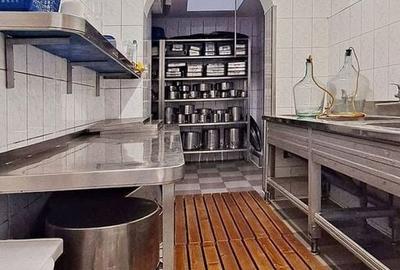 Proprietate specială, de 800 mp, în Central - 29