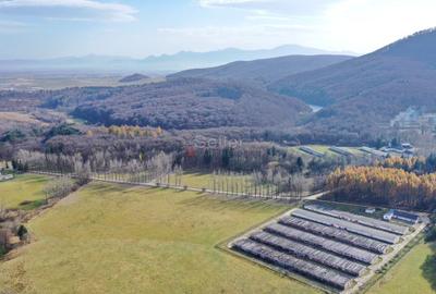 Teren Construcții intravilan de 186000 mp, în Exterior Vest - 21
