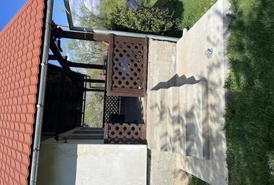 Casă cu 2 camere cu Teren 7500 Mp în Sulighete - 10
