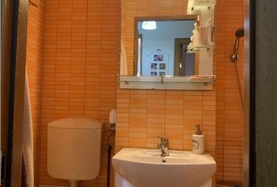Apartament cu 2 camere decomandat, mobilat în Mănăștur - 5