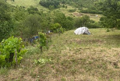 Teren de 3369 mp, în Central