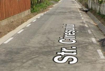 Spațiu comercial, în Horia
