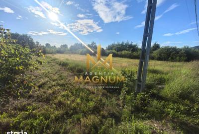Teren de 1376 mp, în Tăuții-Măgherăuș
