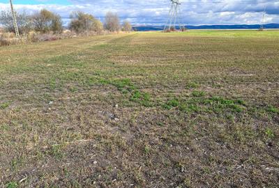 Teren agricol intravilan de 5000 mp, în Hălchiu - 4