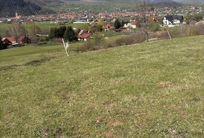Teren de 1600 mp, în Central - 1