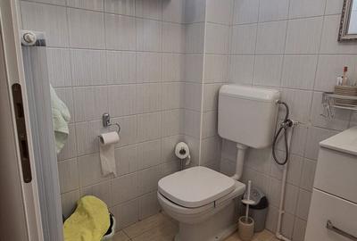 Apartament cu 2 camere semidecomandat, mobilat în Parcul Carol - 11