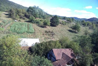 Casă cu Teren 9223 Mp în Baia de Criș - 9