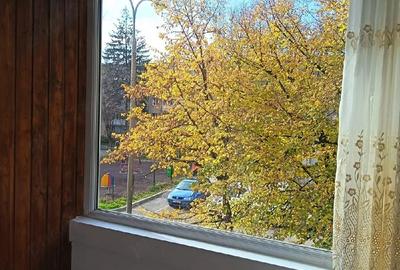 Apartament cu 2 camere semidecomandat în Craiovei - 2