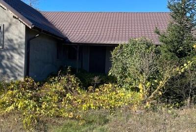 Casă individuală cu 4 camere cu Teren 2200 Mp în Nucetu - 4