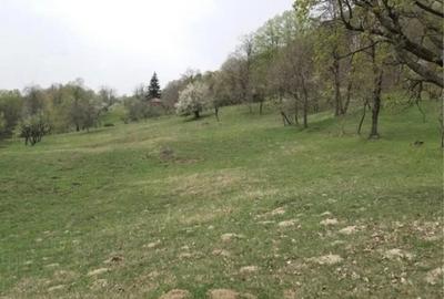 Teren în Buștenari - 3