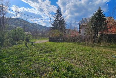 Teren Construcții intravilan de 1800 mp, în Brebu Megieșesc - 4