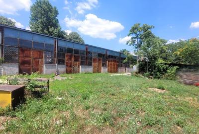 Teren de 5000 mp, în Giulești