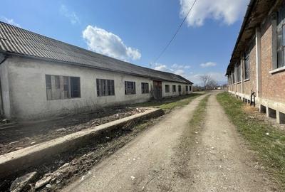 Teren de 16058 mp, în Țiglari - 1