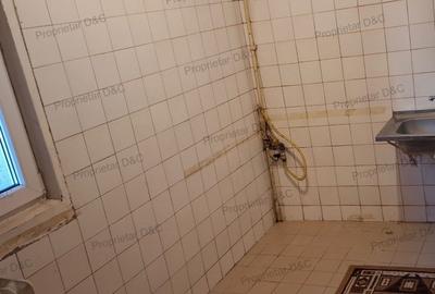Apartament cu 3 camere decomandat în Banu Manta - 9