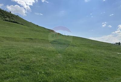 Teren Construcții intravilan de 1000 mp, în Gârcina - 4