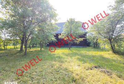 Casă cu Teren 1647 Mp în Mereni - 7