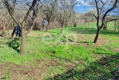 Casă cu 2 camere cu Teren 1274 Mp în Buzoești