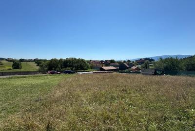 Teren agricol intravilan de 1500 mp, în Leliceni - 5