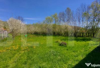 Casă cu 2 camere cu Teren 3100 Mp în Lisnău - 9