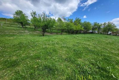 Teren de 2500 mp, în Sud