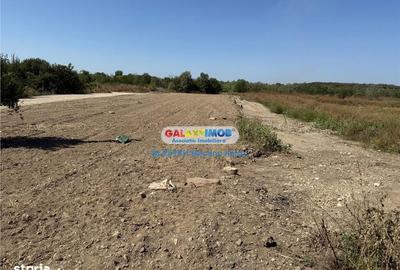 Teren de 2960 mp, în Lipănești - 7