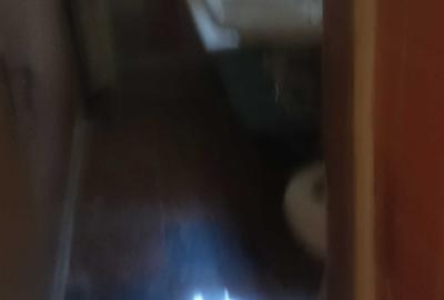 Apartament cu 2 camere semidecomandat în Alecu Russo