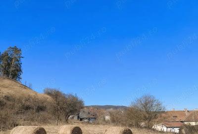 Casă cu 3 camere cu Teren 1435 Mp în Vânători - 2