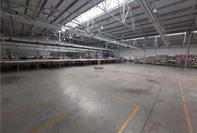 Spațiu industrial, de 6,500 mp, în Periferie - 11