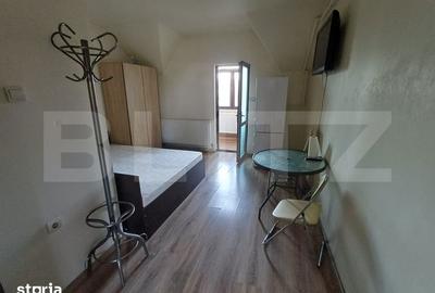 Garsonieră în Lotrului - 3