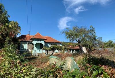 Teren de 1734 mp, în Pietroasele - 8
