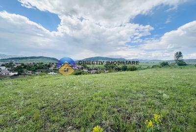 Teren agricol intravilan de 3000 mp, în Ciritei - 2