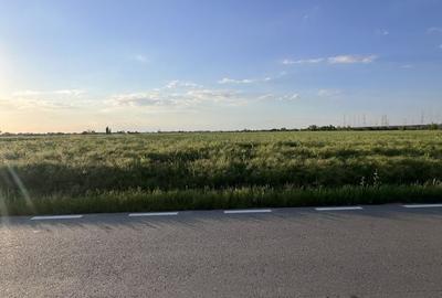 Teren de 500 mp, în Ciolpani - 4