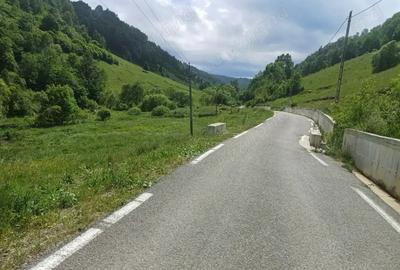 Teren de 3500 mp, în Muntele Băișorii - 9