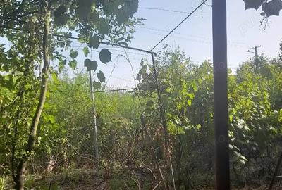 Casă cu Teren 300 Mp în Central - 2